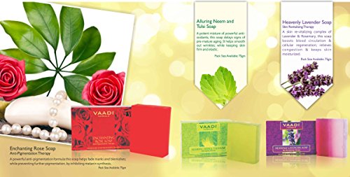 FRUIT SPLASH SOAP with Extract of Orange, Peach, Green Apple & Lemon 75 gm