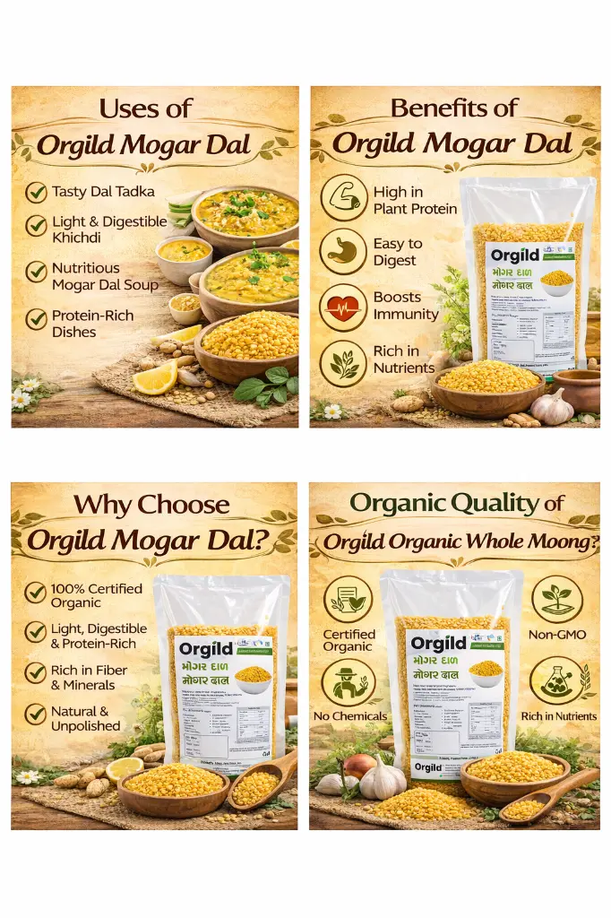 MOGAR DAL COMBO.webp