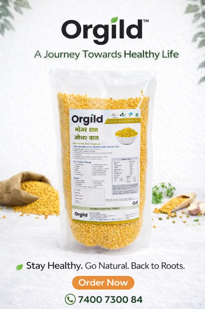 MOGAR DAL.webp